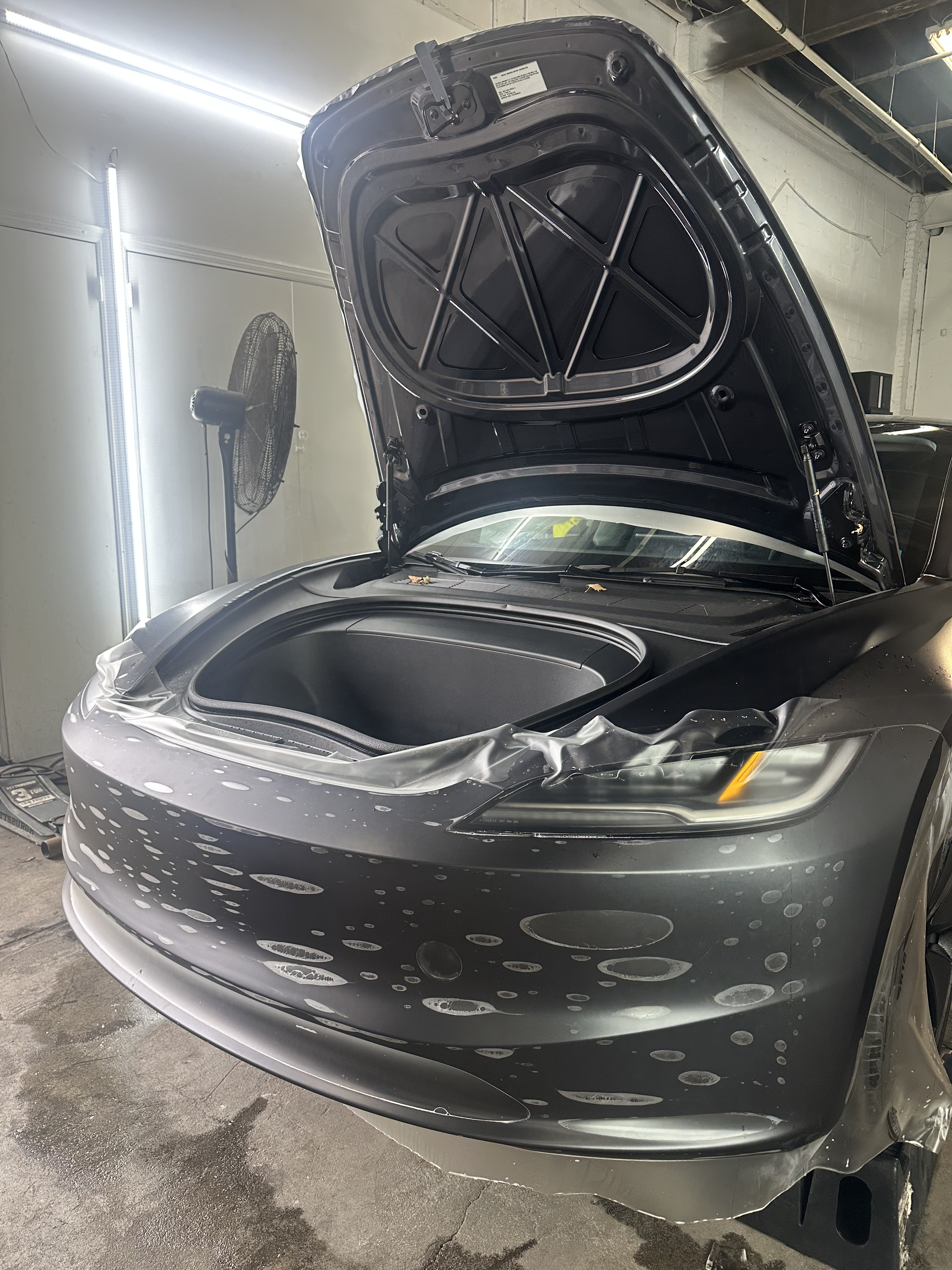 Paint Protection Film Service